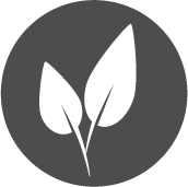Kissen und Decken aus Naturfaser