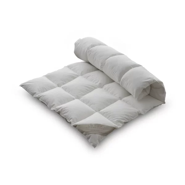 Schramm Topper Lotus Nature Down Light